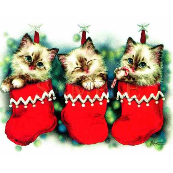 t-shirts-chatons-pere-noel1
